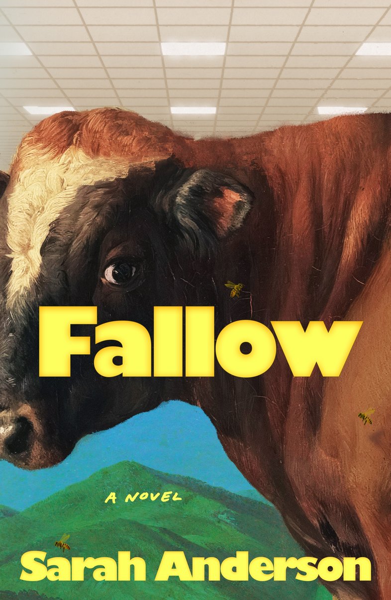 Fallow book cover