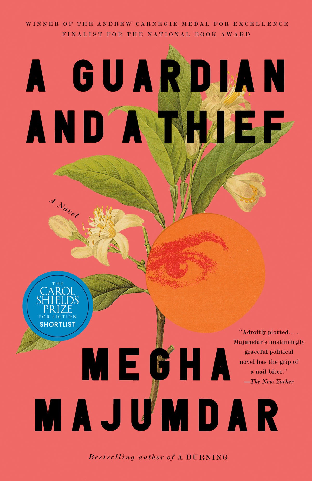Guardian And A Thief book cover
