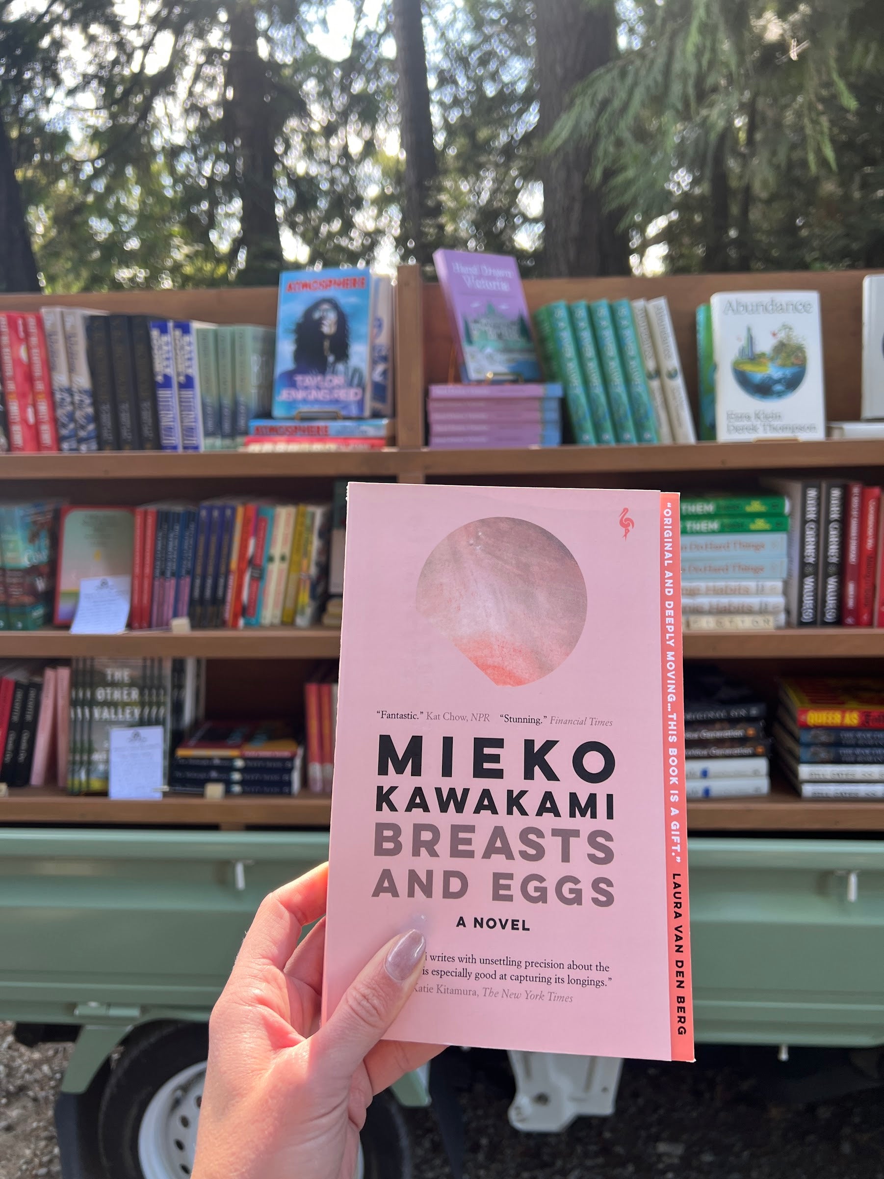 Breasts and Eggs — Mieko Kawakami