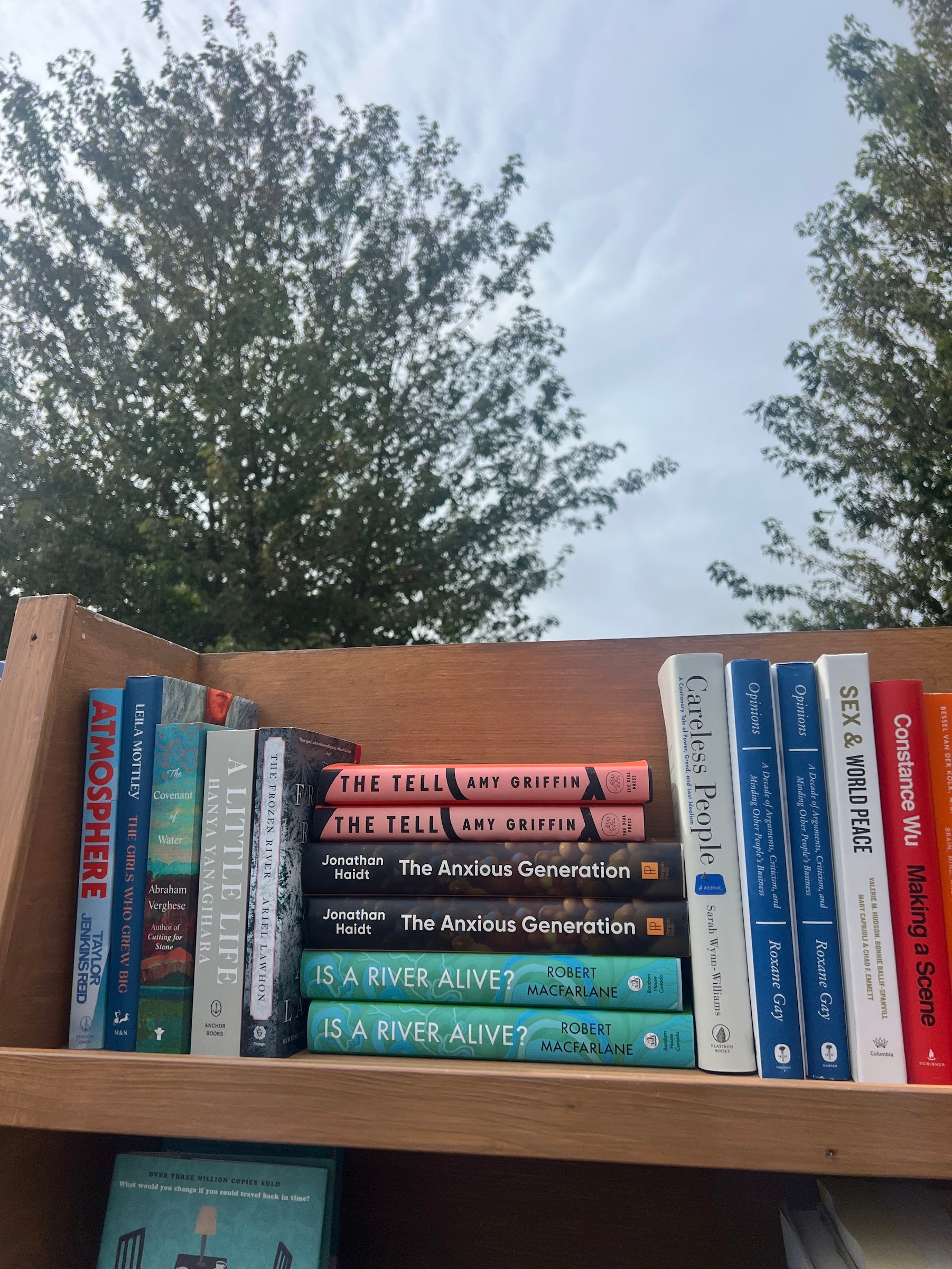 Frozen River — Ariel Lawhon