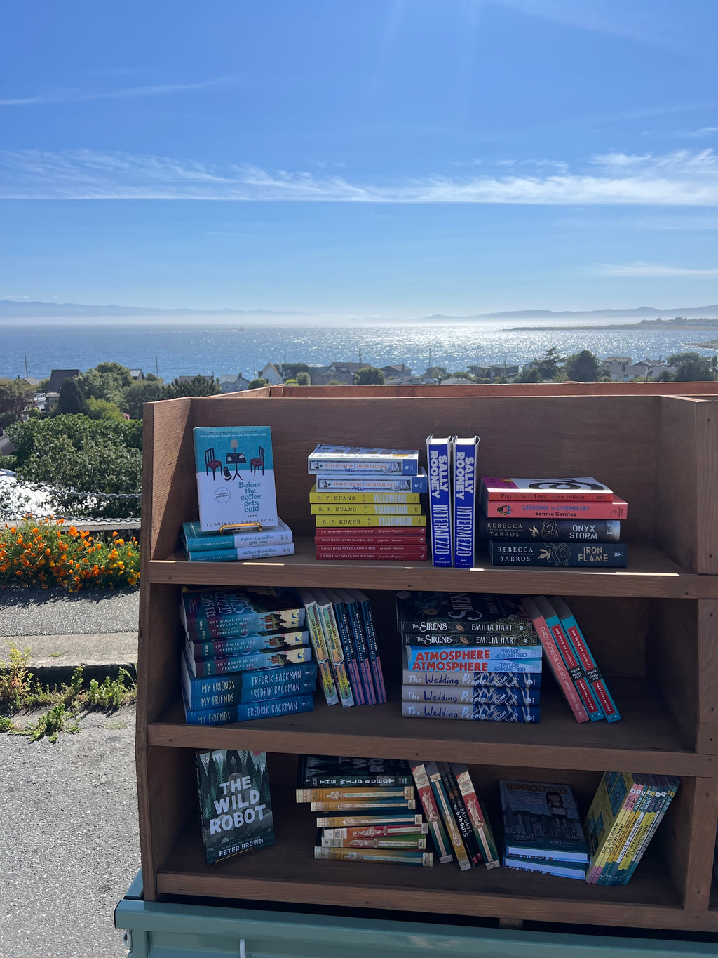 The Wild Robot Protects — Peter Brown