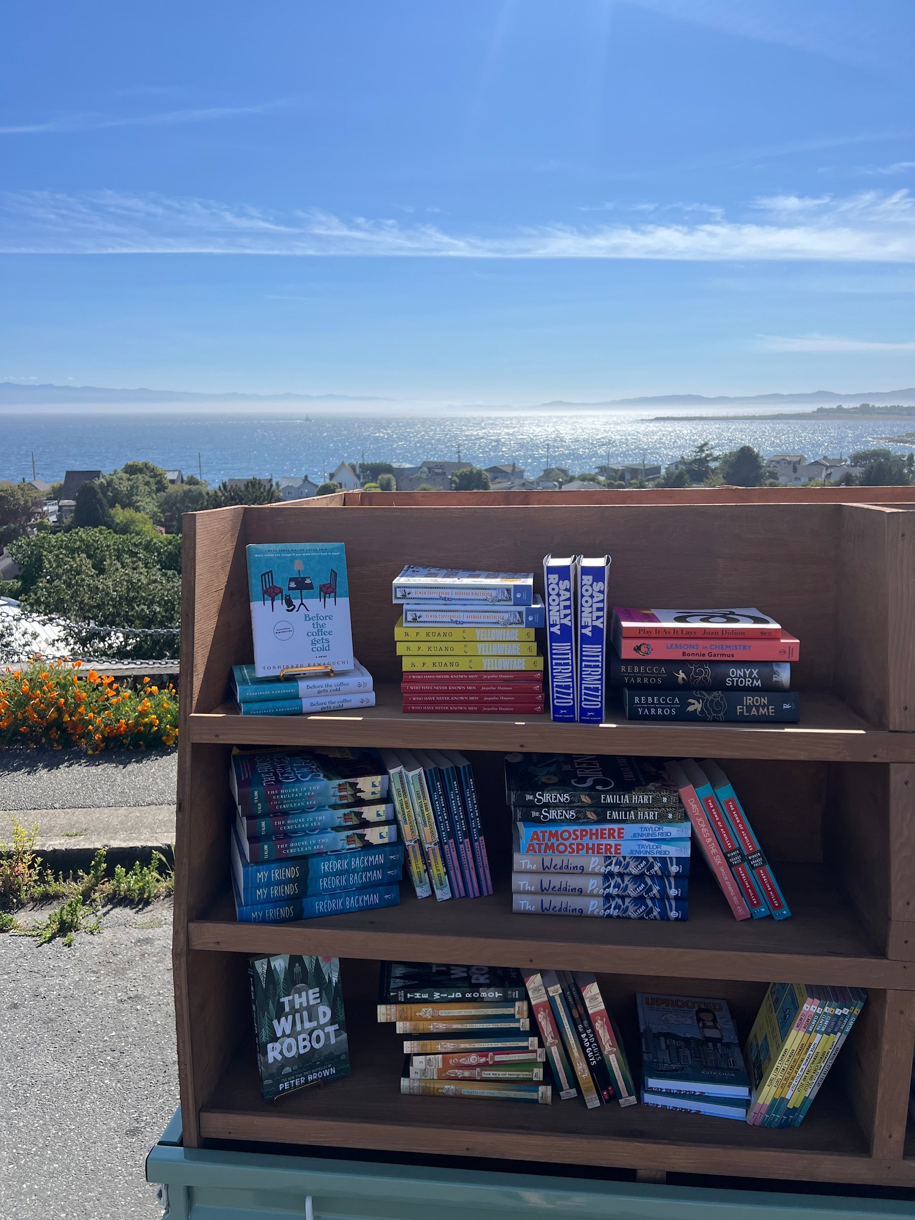 The Wild Robot Protects — Peter Brown