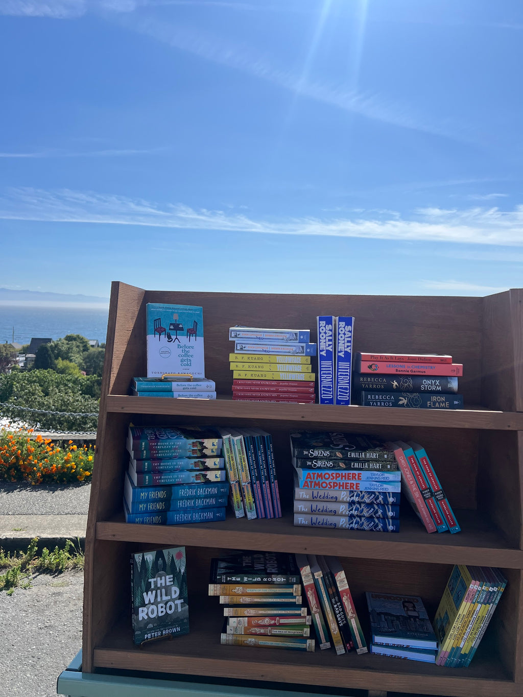 The Wild Robot — Peter Brown