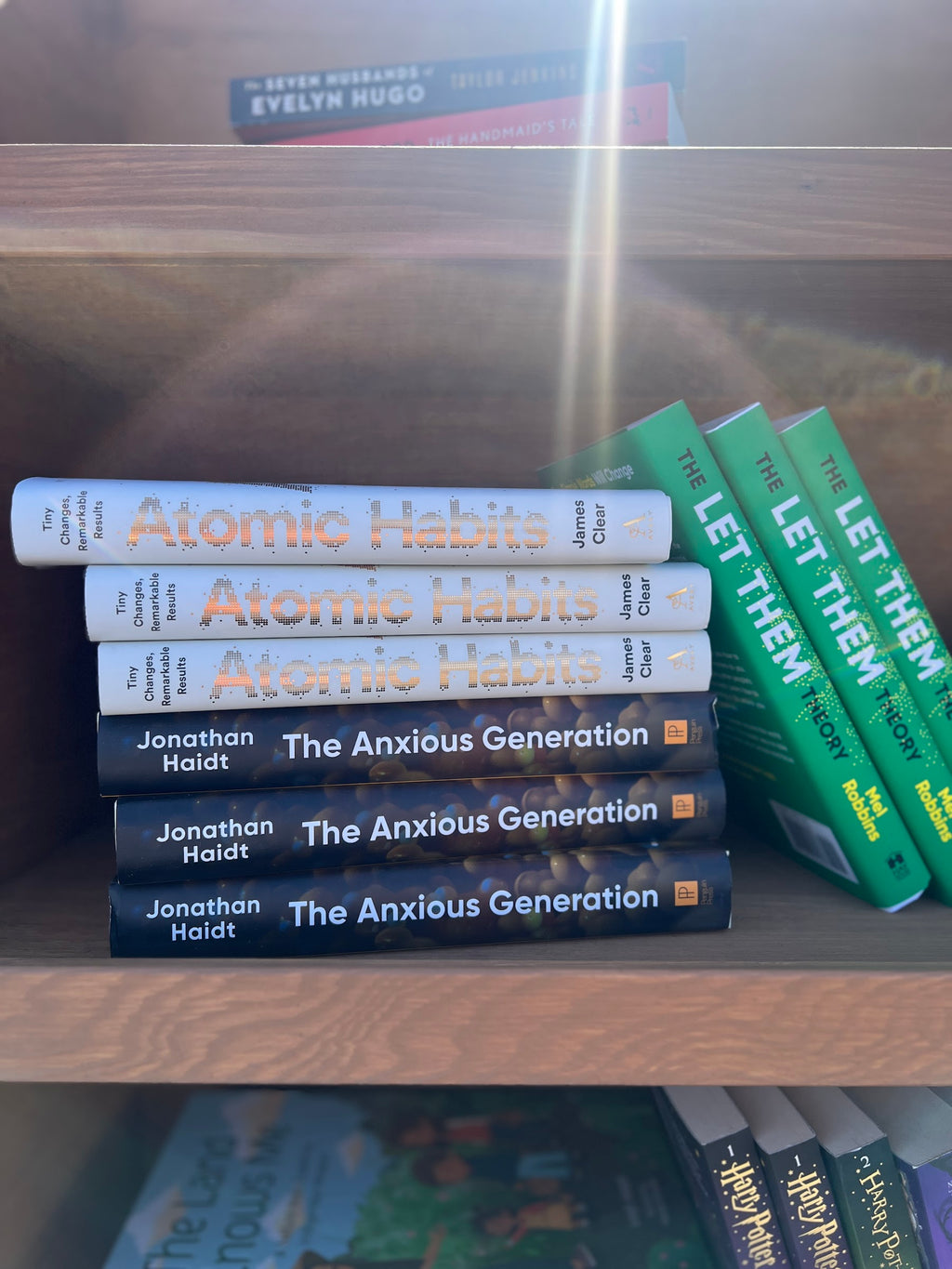 The Anxious Generation — Jonathan Haidt