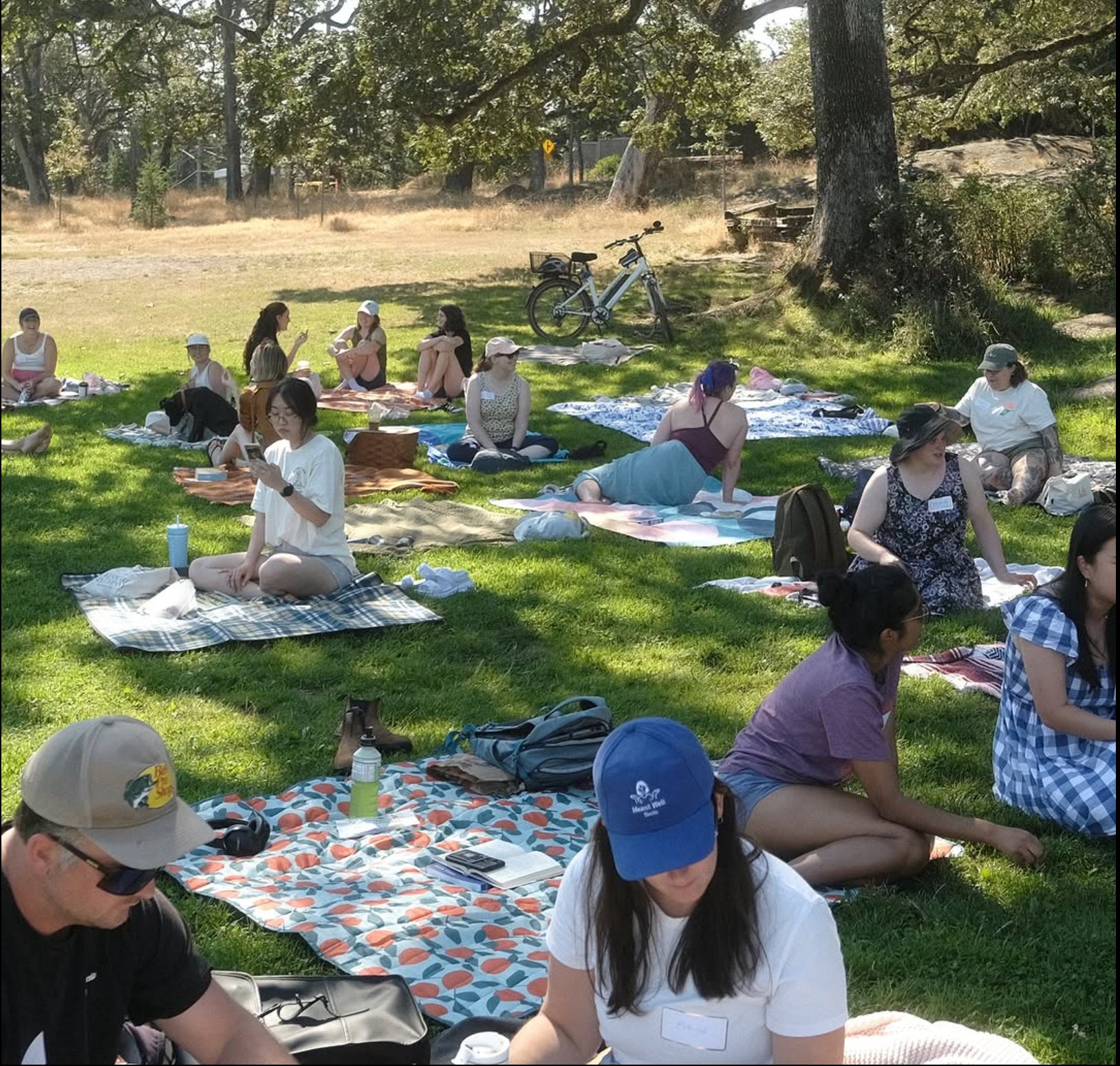 Baseball Hat - Meant Well Books