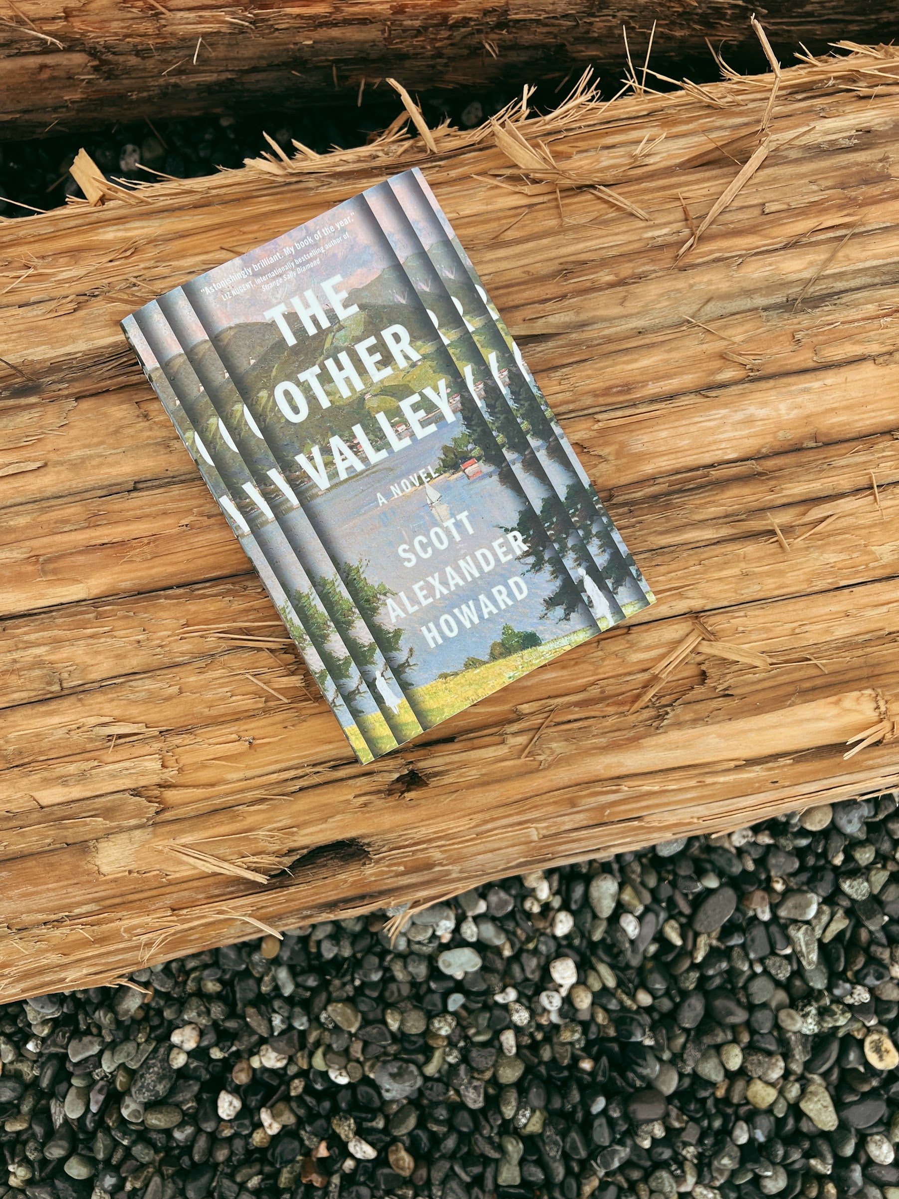 The Other Valley — Scott Alexander Howard